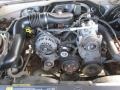2006 Silver Birch Metallic Chevrolet Silverado 1500 Work Truck Regular Cab  photo #10
