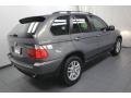 Stratus Grey Metallic - X5 3.0i Photo No. 11