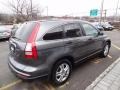 2010 Polished Metal Metallic Honda CR-V EX AWD  photo #8