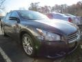 Metallic Slate - Maxima 3.5 SV Photo No. 4