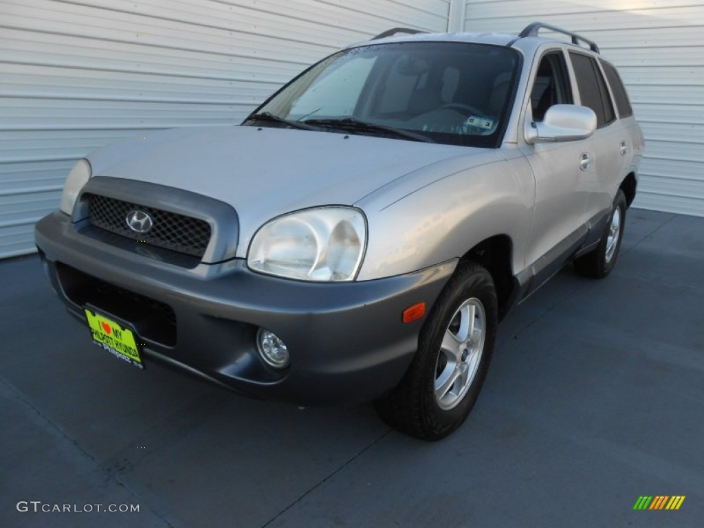 2004 Santa Fe LX - Pewter / Gray photo #7