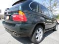 2003 Oxford Green Metallic BMW X5 4.4i  photo #3