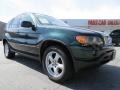 2003 Oxford Green Metallic BMW X5 4.4i  photo #4