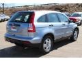 2009 Glacier Blue Metallic Honda CR-V LX 4WD  photo #5