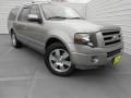 Vapor Silver Metallic 2009 Ford Expedition Limited 4x4