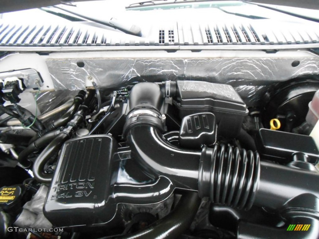 2009 Ford Expedition Limited 4x4 5.4 Liter SOHC 24-Valve Flex-Fuel V8 Engine Photo #77967946