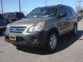 Sahara Sand Metallic 2005 Honda CR-V LX