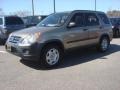 Sahara Sand Metallic - CR-V LX Photo No. 2