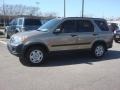 Sahara Sand Metallic - CR-V LX Photo No. 3