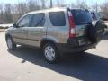 Sahara Sand Metallic - CR-V LX Photo No. 4
