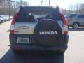 Sahara Sand Metallic - CR-V LX Photo No. 5