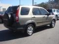 Sahara Sand Metallic - CR-V LX Photo No. 6