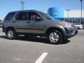 Sahara Sand Metallic - CR-V LX Photo No. 7