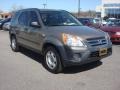Sahara Sand Metallic - CR-V LX Photo No. 8