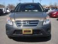 Sahara Sand Metallic - CR-V LX Photo No. 9