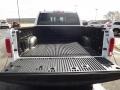 Canyon Brown/Light Frost Beige Trunk Photo for 2013 Ram 1500 #77969078