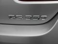 Mercury Metallic - GS 350 Photo No. 19