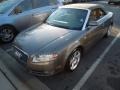 Alpaka Beige Metallic - A4 2.0T Cabriolet Photo No. 24