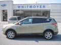 2013 Ginger Ale Metallic Ford Escape SEL 2.0L EcoBoost 4WD  photo #1