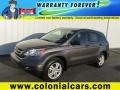 2010 Urban Titanium Metallic Honda CR-V EX AWD  photo #1