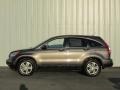 2010 Urban Titanium Metallic Honda CR-V EX AWD  photo #2
