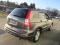 2010 Urban Titanium Metallic Honda CR-V EX AWD  photo #7