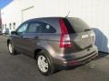 2010 Urban Titanium Metallic Honda CR-V EX AWD  photo #8