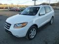 2009 Powder White Pearl Hyundai Santa Fe Limited 4WD  photo #3