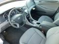 Iridescent Silver Blue Pearl - Sonata GLS Photo No. 15
