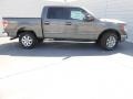 Sterling Gray Metallic - F150 XLT SuperCrew 4x4 Photo No. 3