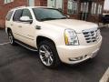 White Diamond 2009 Cadillac Escalade Hybrid AWD Exterior