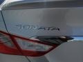 Radiant Silver - Sonata GLS Photo No. 6
