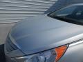 Radiant Silver - Sonata GLS Photo No. 11