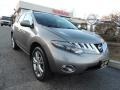 Platinum Graphite Metallic - Murano LE AWD Photo No. 1