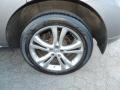 Platinum Graphite Metallic - Murano LE AWD Photo No. 8