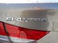 Desert Bronze - Elantra GLS Photo No. 5