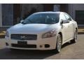 Winter Frost White - Maxima 3.5 SV Sport Photo No. 13