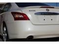Winter Frost White - Maxima 3.5 SV Sport Photo No. 22