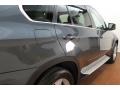 Platinum Gray Metallic - X5 xDrive 50i Photo No. 10