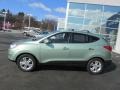 Kiwi Green - Tucson GLS AWD Photo No. 2