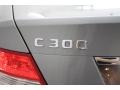 Steel Grey Metallic - C 300 Luxury Photo No. 9