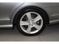 Steel Grey Metallic - C 300 Luxury Photo No. 13