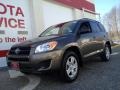 Pyrite Metallic - RAV4 I4 4WD Photo No. 1
