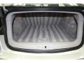 Gray Trunk Photo for 2010 BMW 5 Series #78002572