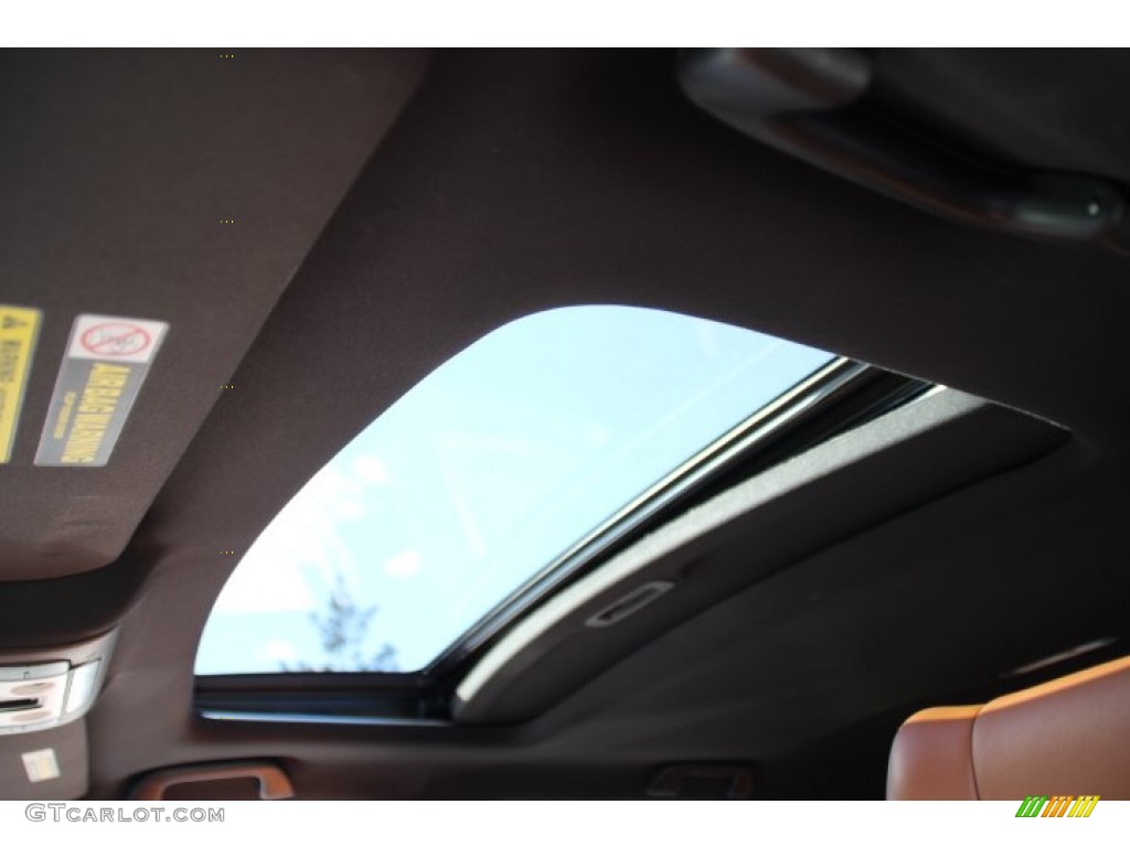 2010 Acura MDX Advance Sunroof Photos