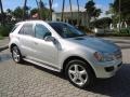 Iridium Silver Metallic 2007 Mercedes-Benz ML 350 4Matic Exterior