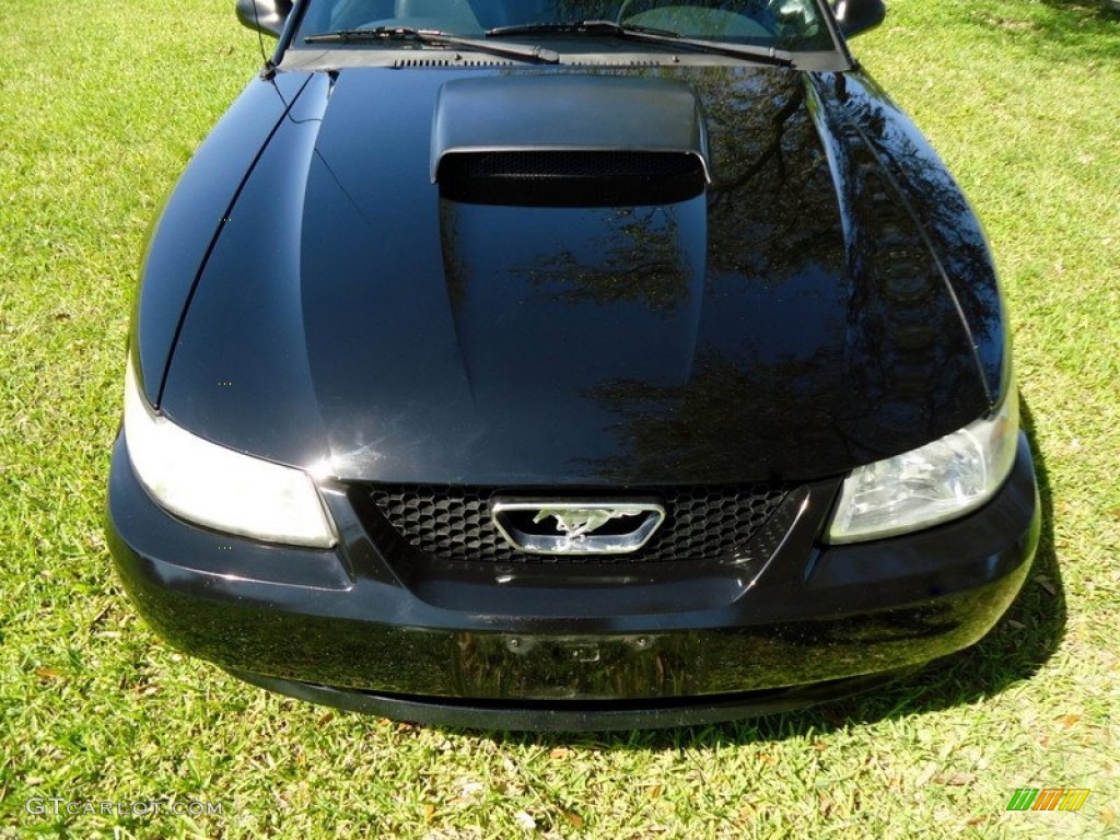 2001 Mustang GT Coupe - Black / Dark Charcoal photo #27