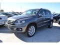 Pepper Gray Metallic - Tiguan SE Photo No. 1