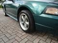 2002 Tropic Green Metallic Ford Mustang GT Coupe  photo #17