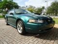 Tropic Green Metallic 2002 Ford Mustang GT Coupe Exterior